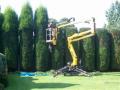 Acme Tree Services Ltd image 5