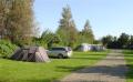 Acorn Camping image 1