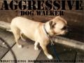 Aggressive dog walker logo