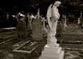 Aldershot, Aldershot Military Cemetery (NE-bound) image 2