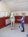 Aldington Equine Vets Ltd image 3