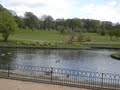 Alexandra Park image 10