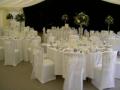 All That's Chic Ltd - Chic Chair Cover Hire Kent logo