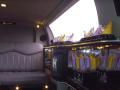 All stretched out - (Dundee limousine hire) image 4