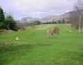 Alloa Golf Club image 4