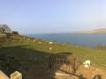 Allt y Coed Coastal Camping Site and Farm logo