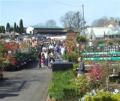 Almondsbury Garden Centre image 2