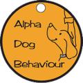 Alpha Dog Behaviour image 4