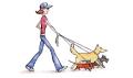 Alpha Dog Walks & Pet Sitting Services image 1