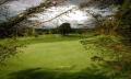 Alston Moor Golf Club image 1