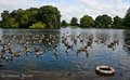 Alvaston Park image 2