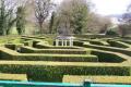 Amazing Hedge Puzzel image 1