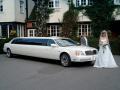 American Limousine Services Ltd image 2