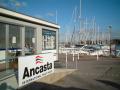 Ancasta International Boat Sales - Hamble (Mercury Yacht Harbour) logo