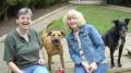 Animal Matters: Animal Communication specialists image 3
