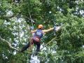 Apex Tree Surgeons image 2