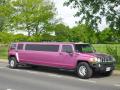 Arrive In Style Limousines image 1