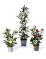 Artificial Christmas Tree Supplier, Order Online. Silk Plants & Flowers Shop image 4