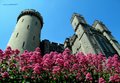 Arundel Castle image 5