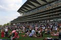 Ascot Racecourse image 2