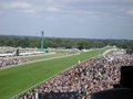 Ascot Racecourse image 5