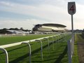 Ascot Racecourse image 5