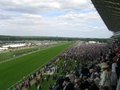 Ascot Racecourse image 6