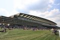 Ascot Racecourse logo
