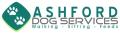 Ashford Dog Services image 3