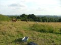 Ashford Hill, Ashford Hill (NE-bound: Hail-and-Ride) image 3