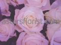 Asters Florist image 1