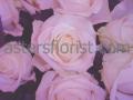 Asters Florist logo
