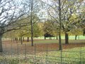 Aston Park image 8