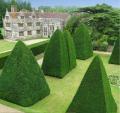 Athelhampton House & Gardens logo
