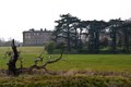 Attingham Park image 9