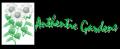 Authentic Gardens logo