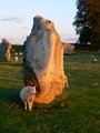 Avebury Stone Circles image 7