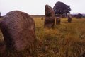 Avebury Stone Circles logo