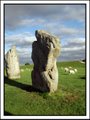 Avebury image 7