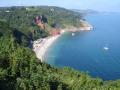 Aveland House Babbacombe logo