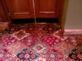 Axholme carpet cleaning image 1