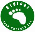 BIGFOOT TREE SURGERY LTD logo