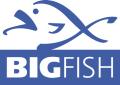 BIG FISH logo