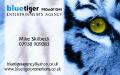 BLUE TIGER PROMOTIONS ENTERTAINMENTS AGENCY logo