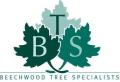 BTS Beechwood Tree Specialists logo