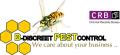 B - Discreet Pest Control logo