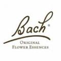 Bach Flower Remedies Practitioner in  Northampton logo