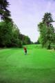 Badgemore Park Golf Club image 3