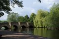 Bakewell image 9