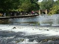 Bakewell image 10